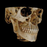 Snaap CBCT | 3D Service