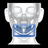 Snaap CBCT | 3D Service