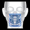 Snaap CBCT | 3D Service